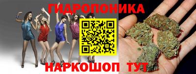 спайс Бийск
